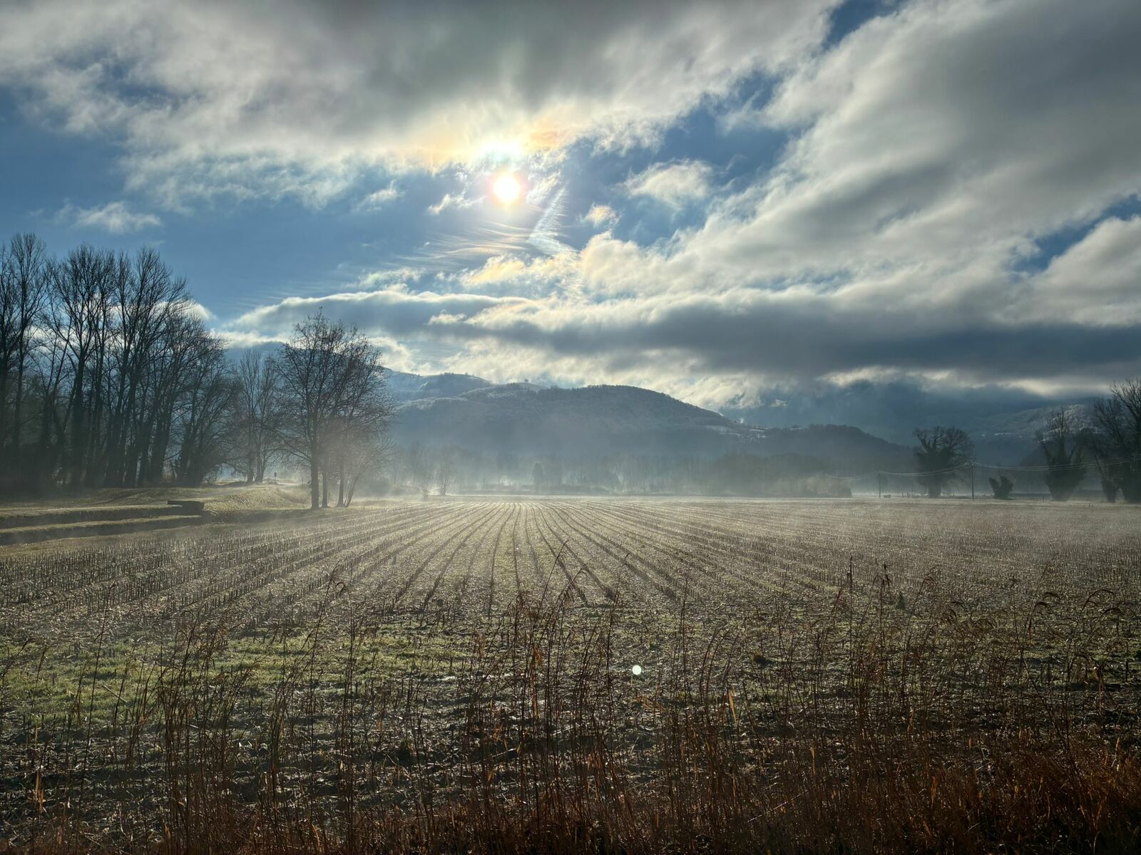 Sortie Joëlettes du 11/01/2026