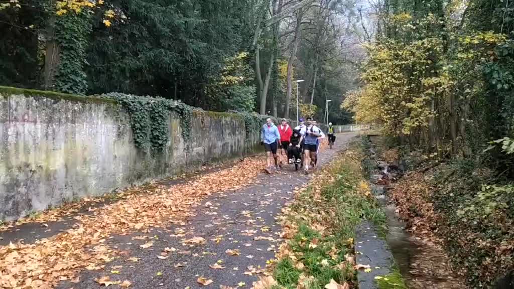 Sortie Joëlettes du 16/11/2025